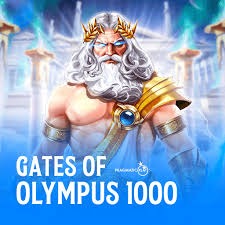 Penjelasan Lengkap: Fitur-Fitur Unggulan yang Ditawarkan oleh Olympus1000